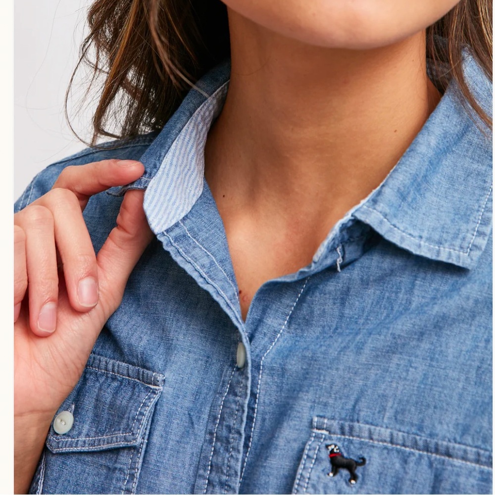 The Black Dog Celestial Chambray Button Down Shirt Classic Fit - Picture 6 of 15